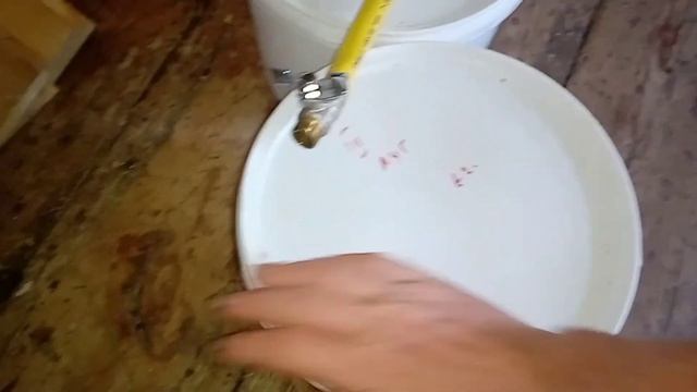Кормлю пчёл днём. смотреть онлайн