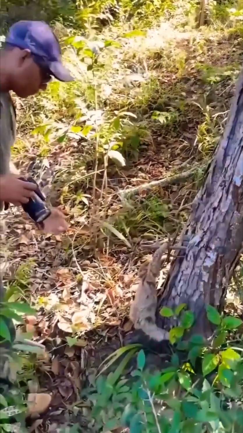 Мир не безнадежен ! смотреть онлайн