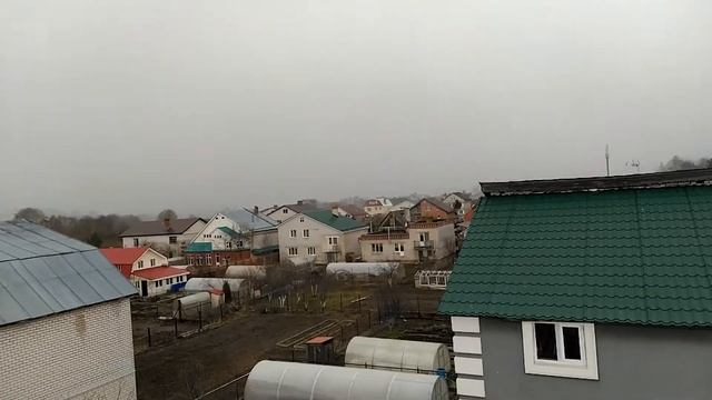 Взрослые голуби не дураки 🕊️ и второй снежный заряд 🌨️ смотреть онлайн
