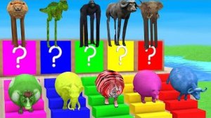 5 гигантских уток и диких животных в клетке. Мультик «Корова, горилла, носорог, слон, овца у реки"