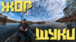🔴 ЧТО ВООБЩЕ ПРОИСХОДИТ?! Щука кидается на ВСЕ! Жор щуки весной!!!💥🐟🔥