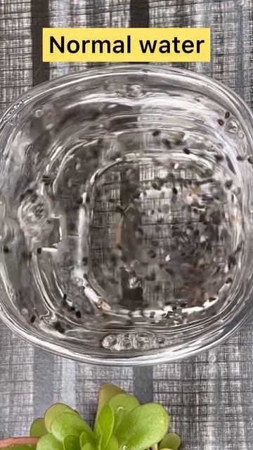 Best Weight Loss Drink, Chia Sabja Detox Water #weightloss #morning #diet #shorts #youtubeshorts