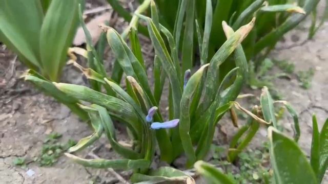 Ейск ! Сегодня на доме работы прошли оперативно , вопрос решон , быстрая доставка и всё остальное ! смотреть онлайн