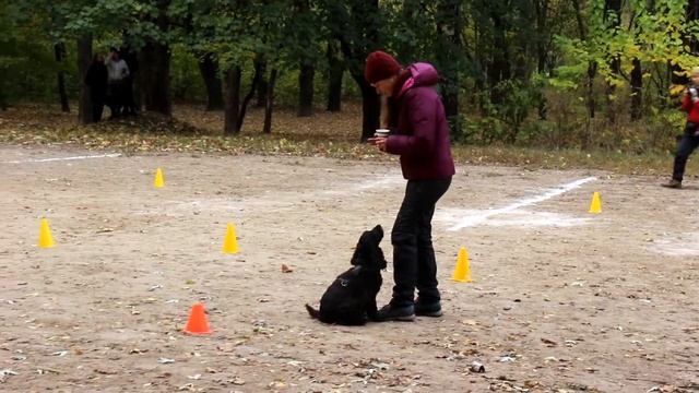 Мария Батченко и Кери. Веселые старты смотреть онлайн