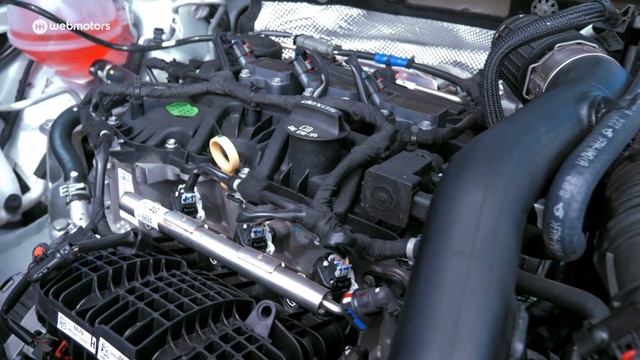 WEBMOTORS TV - 19/12/20 - MG CAPITAL смотреть онлайн