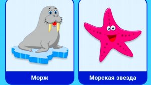 Учим названия Морских животных/ Развитие речи для малышей/ Развивающий мультфильм видно для детей