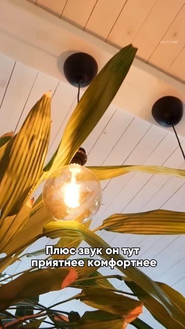 Вагонка на стенах в квартире? А так можно? #дизайнинтерьера смотреть онлайн