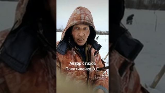 Автор стихов Покатиленко Владимир Ефимович. смотреть онлайн