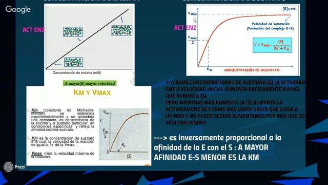 BIOQUÍMICA EXPRESIÓN! ÁCIDOS NUCLEICOS Y ENZIMAS!! смотреть онлайн