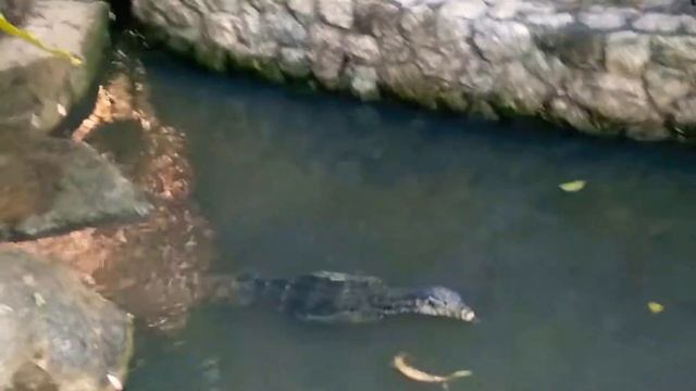 Василий и Ко смотреть онлайн