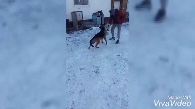 Охрана дома смотреть онлайн