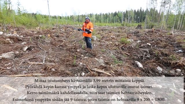 Istutusvideosarja osa 6: Varmista sopiva istutustiheys смотреть онлайн