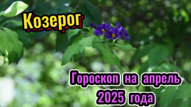 КОЗЕРОГ! Гороскоп на апрель 2025 года! смотреть онлайн