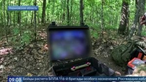 Анна Прокофьева