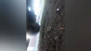 мерседес спринтер 601 установка приводного ремня