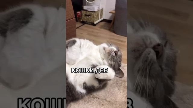 Крутой астролог Https://t.me/astrobogi