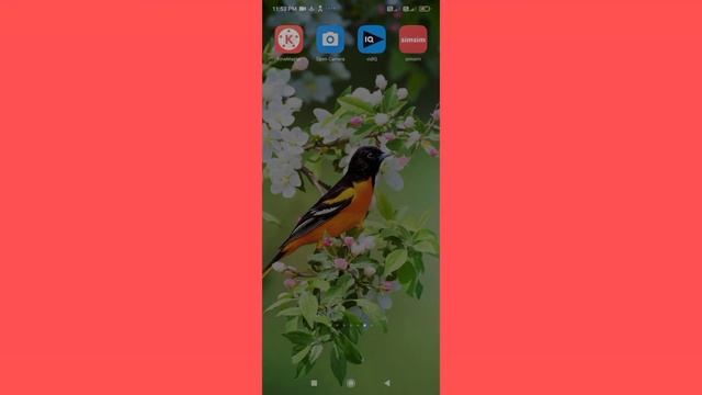 Open camera me kaise sound record Kare смотреть онлайн