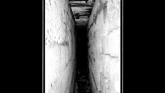 7 From Life - Galloping Lampshades смотреть онлайн