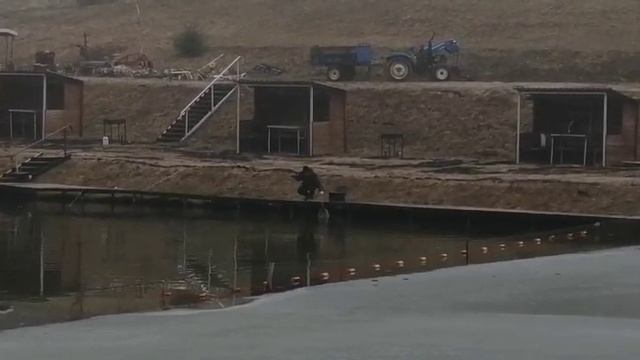 Forest Fishing 26.03.25