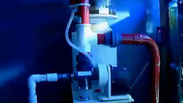 3reefstreaming video Jason смотреть онлайн