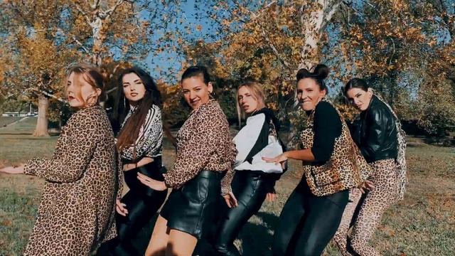 SOSS -  Animal By Mmzy Ft. Seun Kuti - Afro Choreography