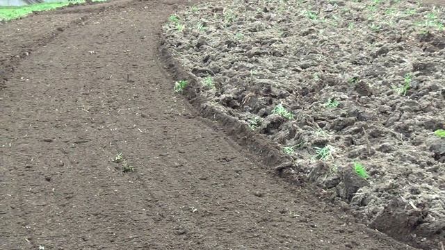 Treburi agricole - arat, pus cartofi si porumb смотреть онлайн