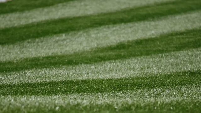 Perfect Lawn Stripes from Jonathan Green смотреть онлайн