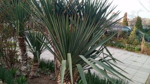 video_2025-03-25_13-02-30