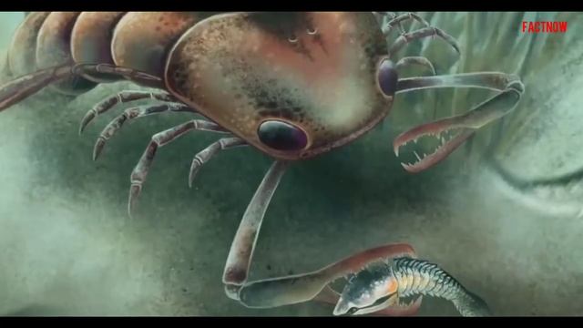 डायनासोर काल के 5 खतरनाक जानवर | 5 Ancient Killer Animals смотреть онлайн