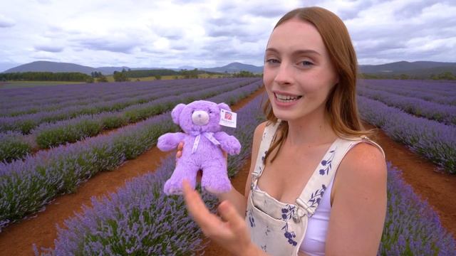 WE TRIED LAVENDER ICE CREAM (Bridestowe Travel Vlog) смотреть онлайн