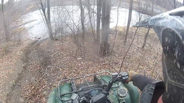 Grizzly tries to rescue brute force смотреть онлайн