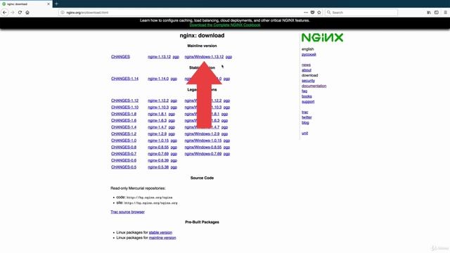 02-05 Nginx for Windows смотреть онлайн