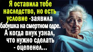 Жизненные истории " Условия для наследства" истории из жизни / Рассказы / Слушать истории
