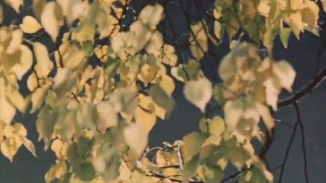 Место встречи изменить нельзя 3 серия смотреть онлайн