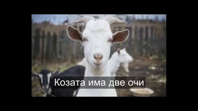 Iris е илюменат смотреть онлайн
