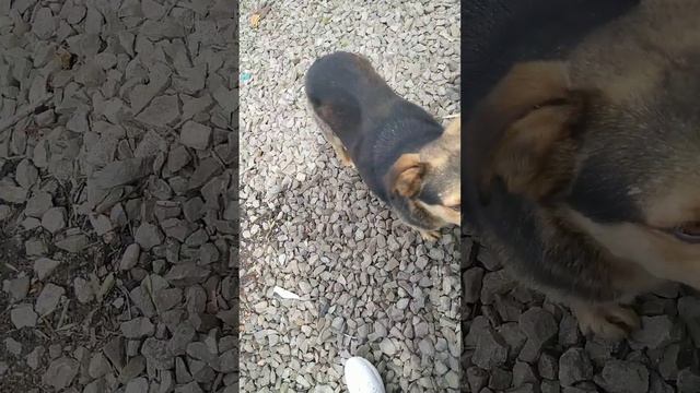 VID 20210609 141237 смотреть онлайн