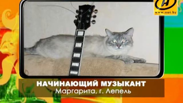 Фотоконкурс «Утро Беларуси», 18.09.2013 смотреть онлайн