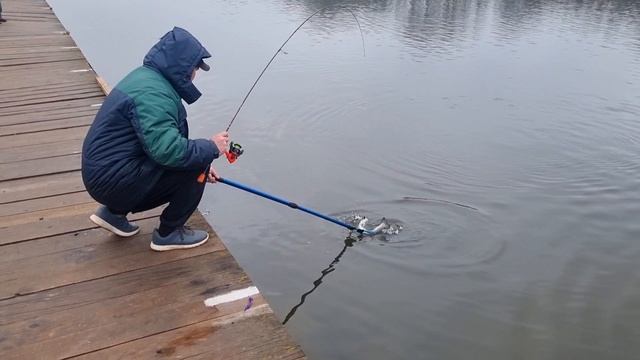 26-03-2025 смотреть онлайн