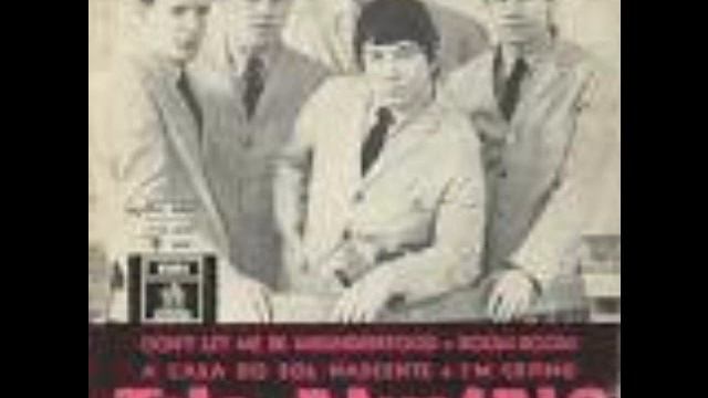 ANIMALS-SEE SEE RAIDER смотреть онлайн