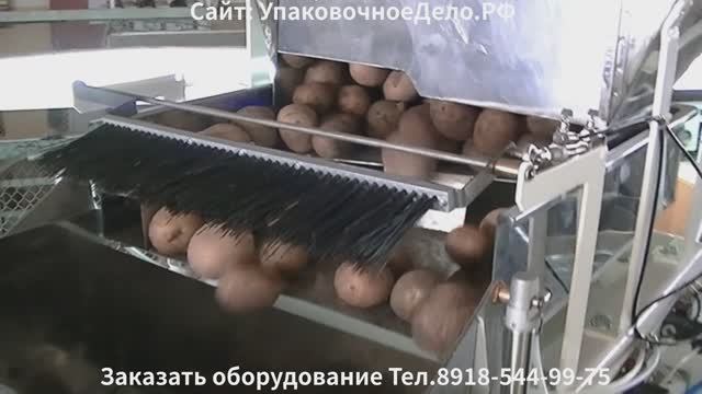 Весовой дозатор 1-50 кг фасовка картофеля, сыпучих кусковых и штучных продуктов в готовую тару смотреть онлайн