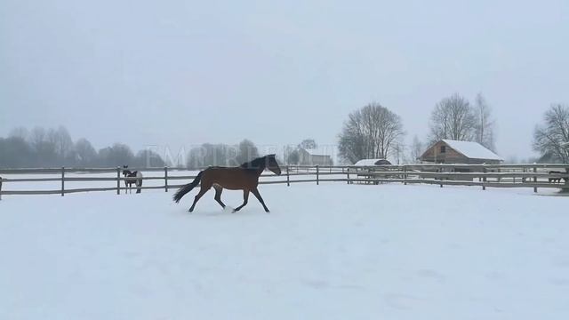 1370 смотреть онлайн