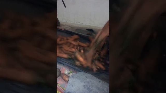 Каскара совхозный овоще хрони... смотреть онлайн