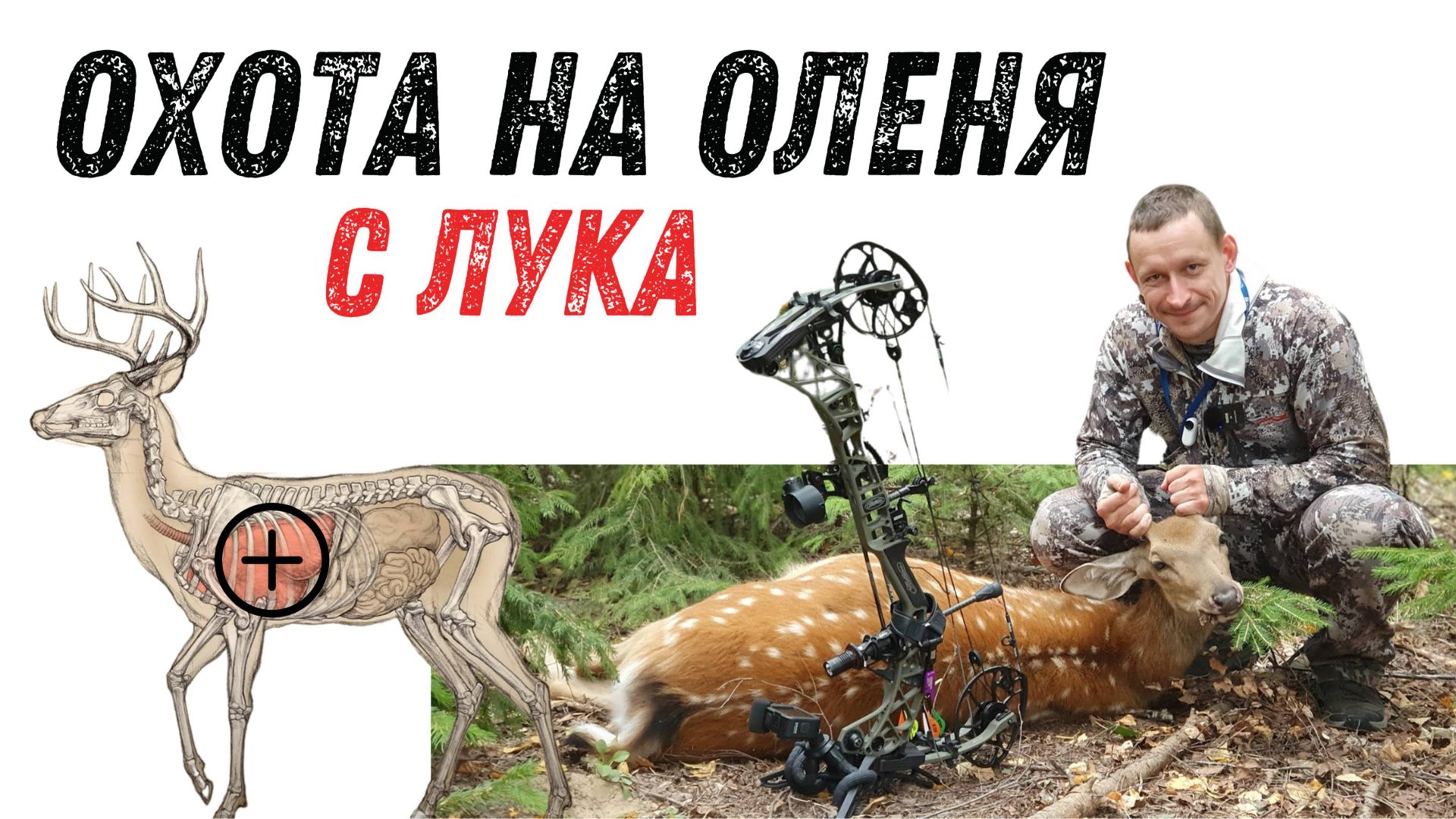 ОХОТА НА ОЛЕНЯ с луком! Новая охота с вышки на оленя в деревне Лахи смотреть онлайн