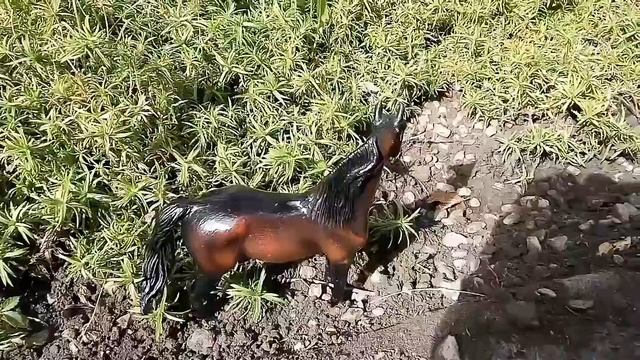 Обзор лошадей колекта часть 2 смотреть онлайн