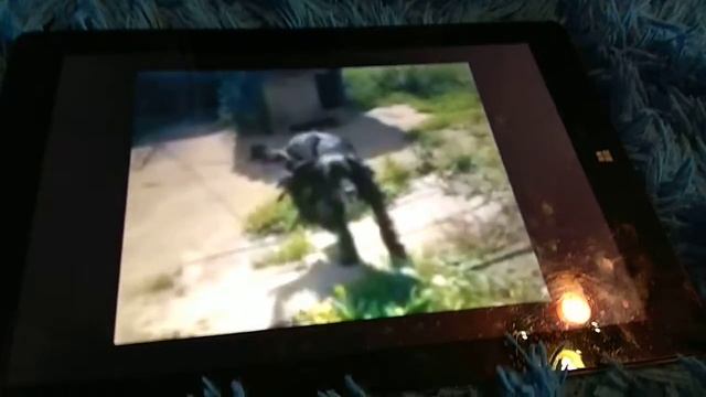 Реакция на тигр шоу смотреть онлайн