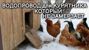 Незамерзающая ЗИМНЯЯ ПОИЛКА и НЕЗАМЕРЗАЮЩИЙ ЗИМНИЙ ВОДОПРОВОД в курятнике