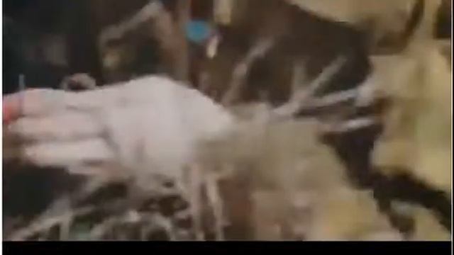 Лисапедный батальон Наталья Фарион Давай,бабы,давай! смотреть онлайн