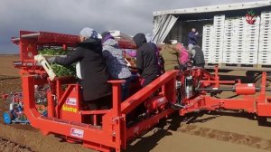 СЕЛЬСКОХОЗЯЙСТВЕННАЯ ТЕХНИКА для детей + БОНУС