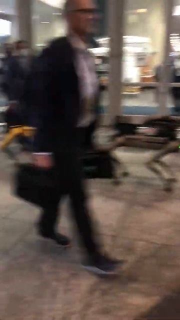 Military to deploy robot dogs with 6.5mm assault rifles mounted to their back #shorts смотреть онлайн