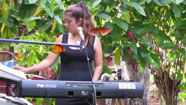 FREYA LA MARIPOSA DE LOS TECLADOS смотреть онлайн